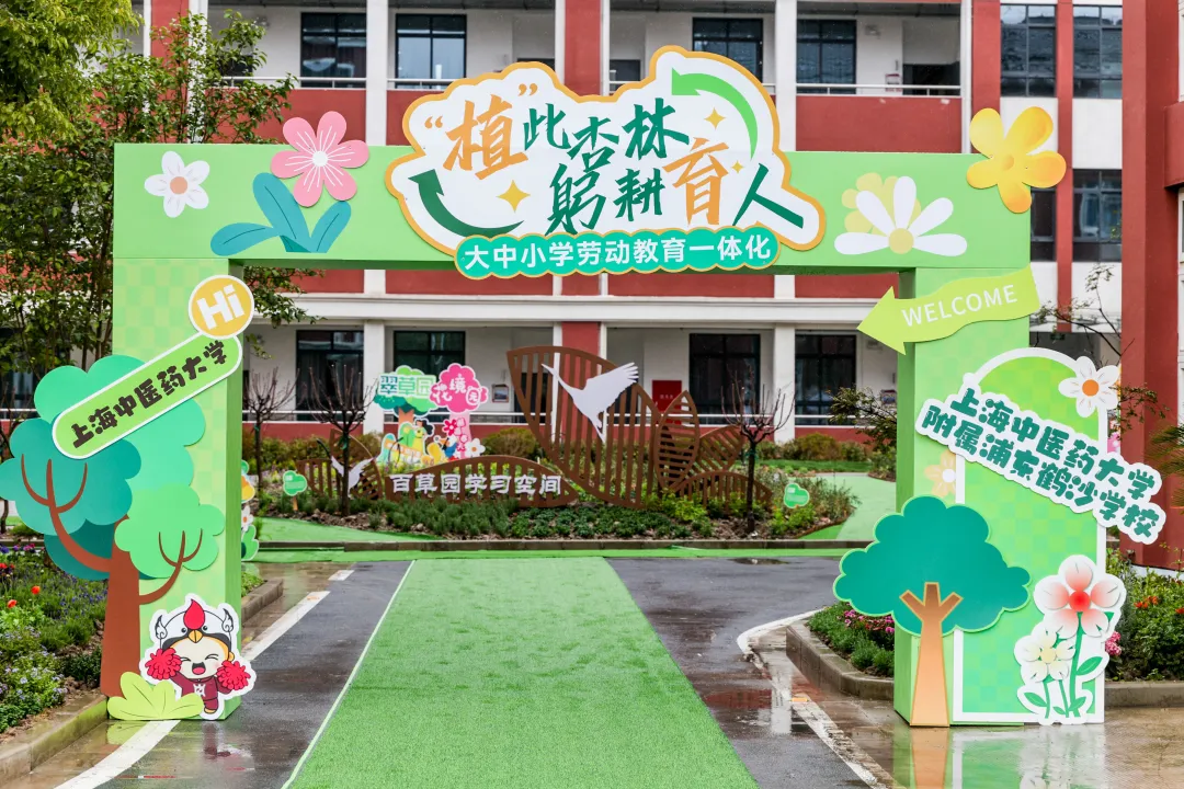 中医药文化+劳动教育 beat365官方网站携手附属中小学共植杏树