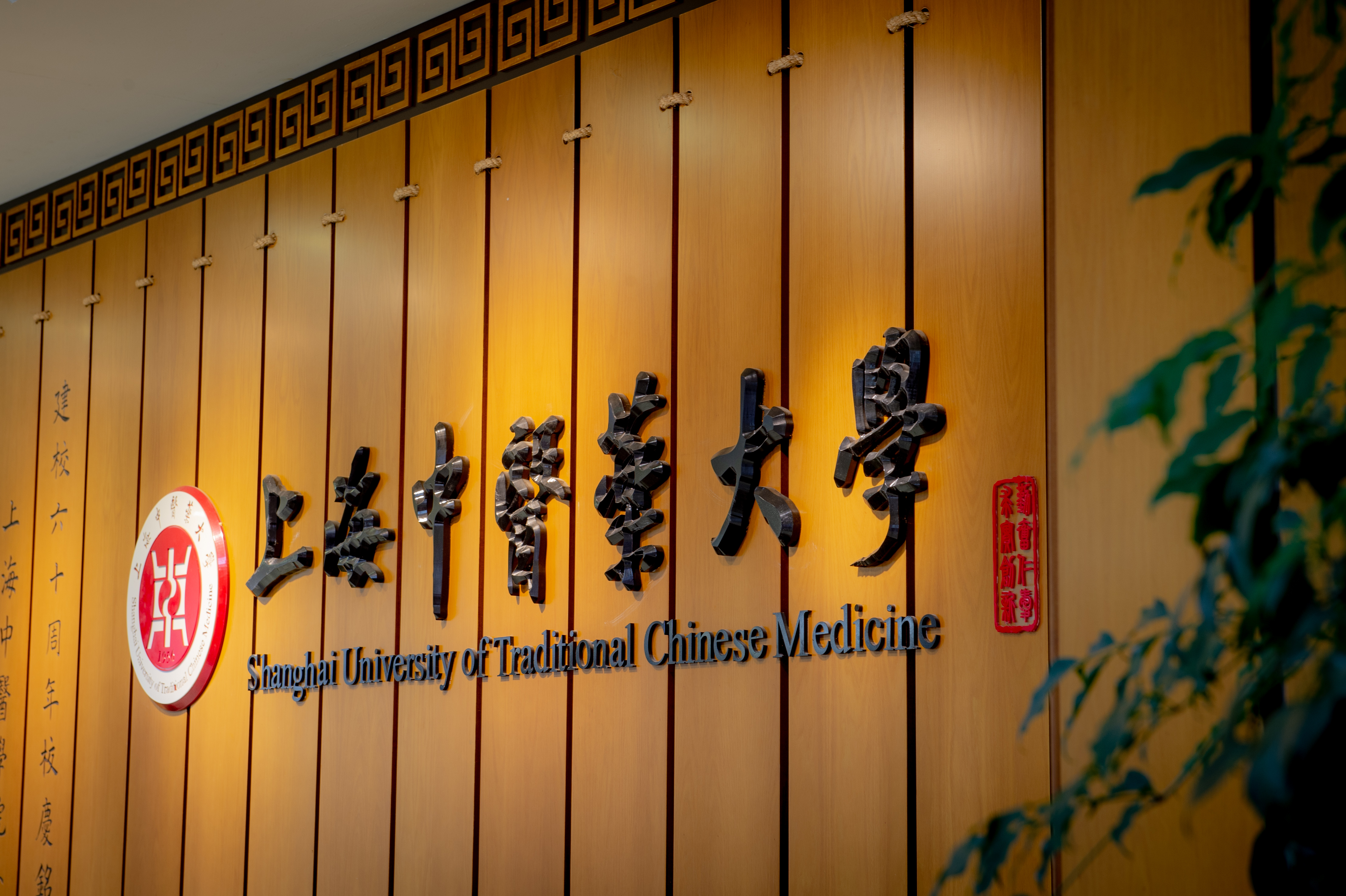 首批立项！全国老药工传承工作室+3