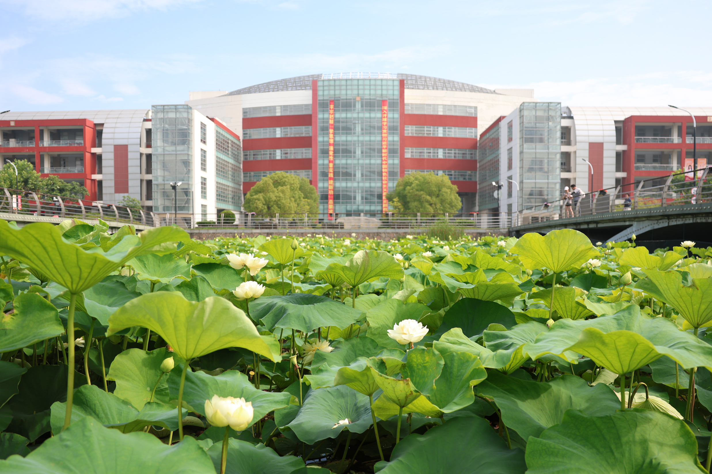 特等奖！beat365官网教师在第五届上海市高校教师教学创新大赛中获多项佳绩