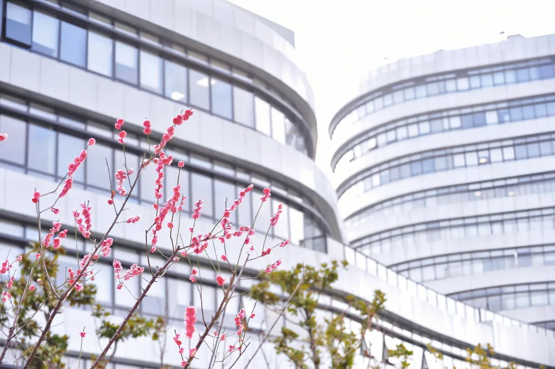  beat365官网中药研究所研发中药1类新药车前子片获新药临床试验批件