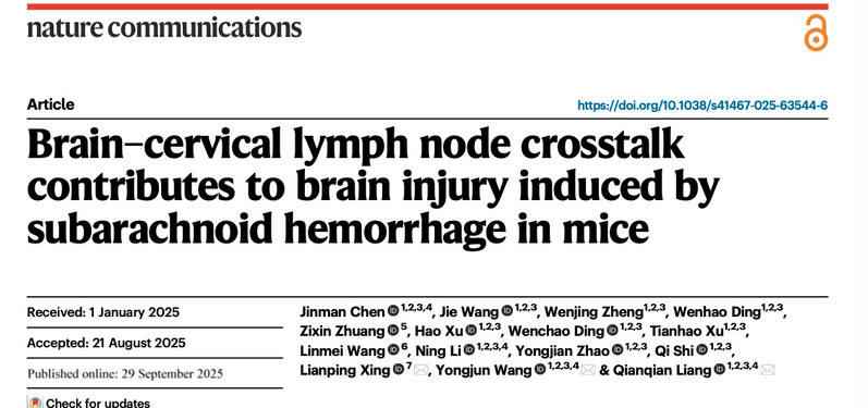 再登Nature Communications！beat365官网梁倩倩研究员、王拥军教授团队破解脑损伤病理机制