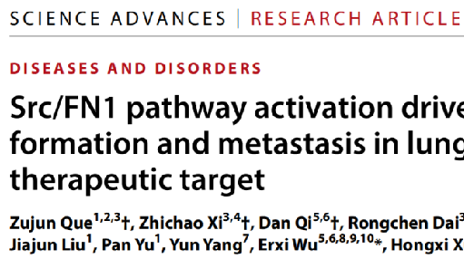 田建辉团队和徐宏喜团队基于“正虚伏毒”理论揭示“伏毒”肺癌循环肿瘤细胞簇促肺癌转移新机制