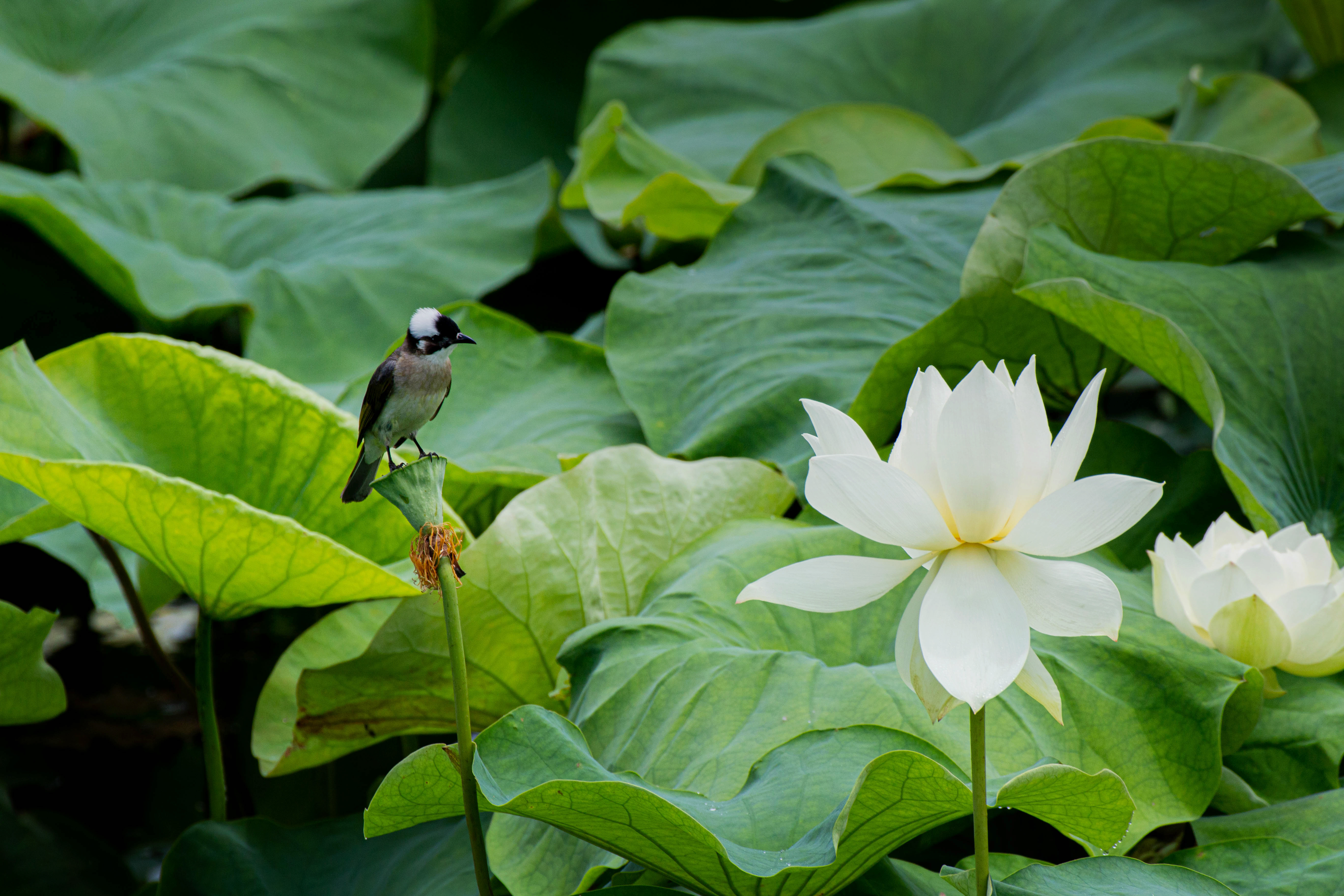 +2！教育部第十届高校廉洁教育系列活动优秀作品