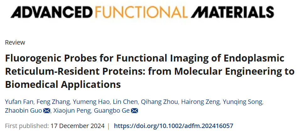葛广波、郭兆彬团队受邀发表内质网驻留蛋白荧光探针的分子工程与生物医学应用综述
