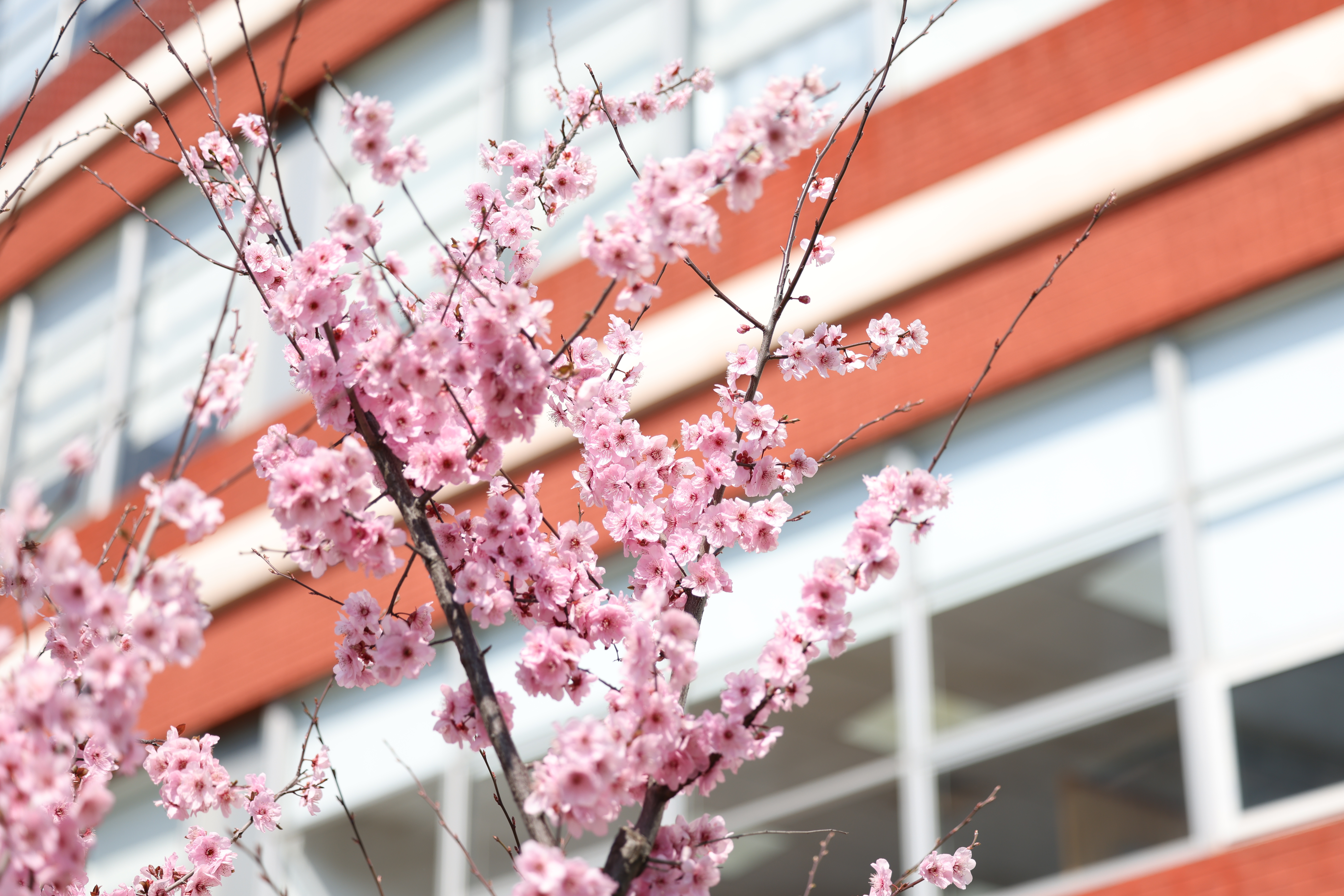 2025年度精神文明好人好事风采展③