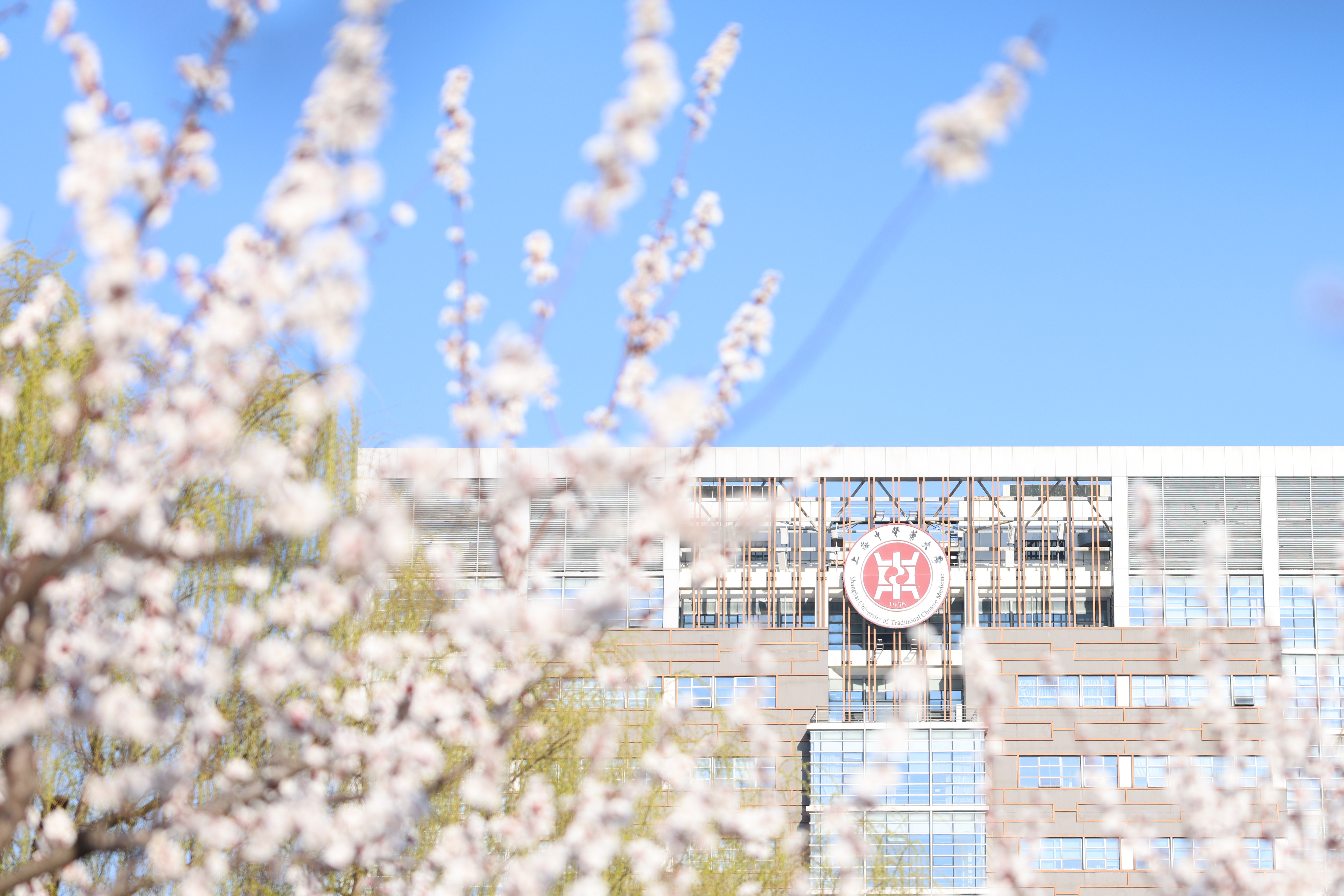 beat365官网10部教材入选“十四五”普通高等教育本科国家级规划教材