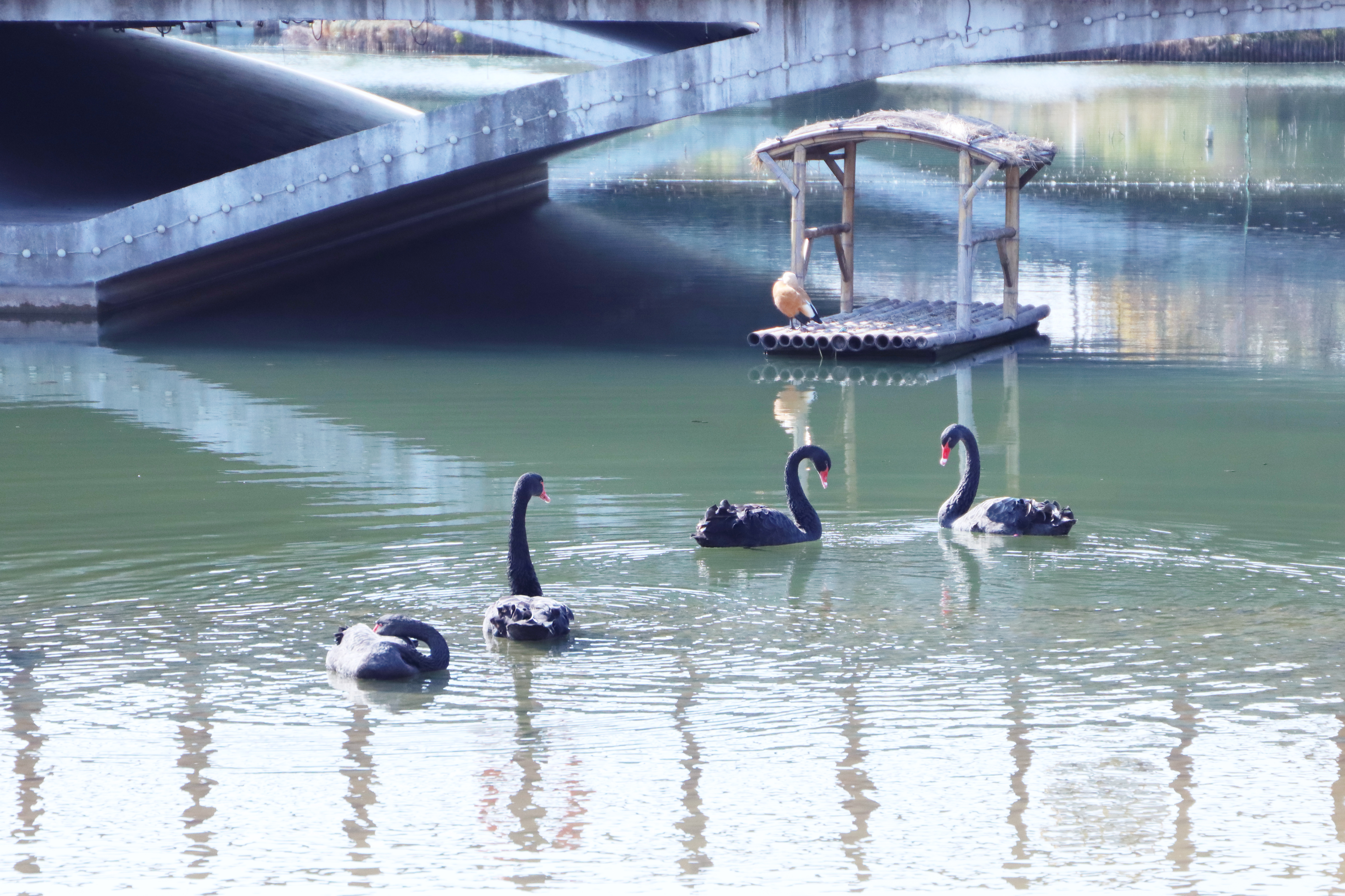 beat365官网护理学院吴静教授夫妇荣获“上海市教育系统第十五届比翼双飞模范佳侣”称号