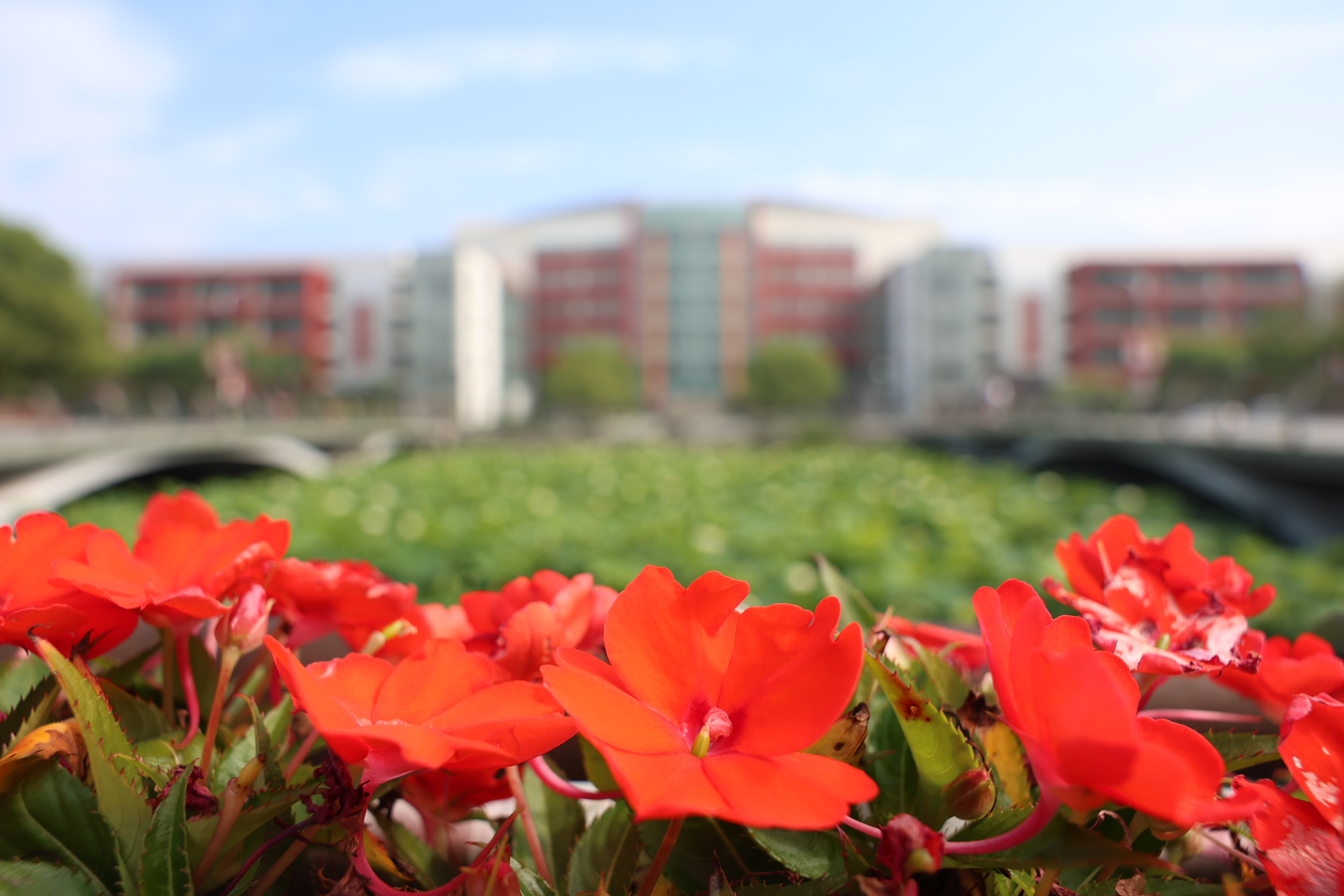 祝贺！beat365官网系统4项成果喜获上海市科学技术奖