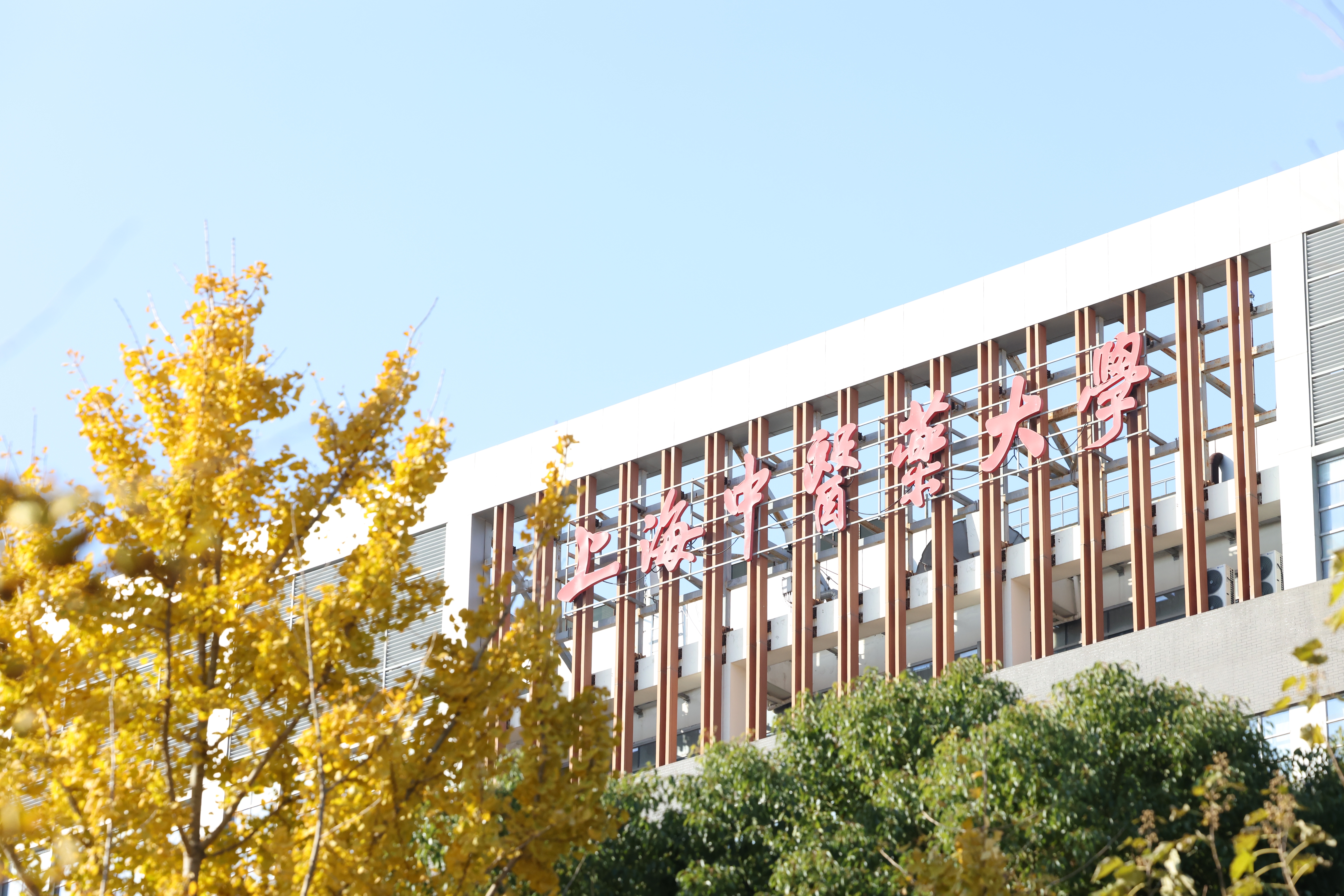 beat365官网系统九项成果获中国民族医药学会2024年度科学技术奖