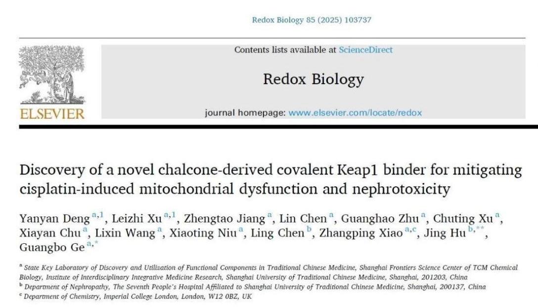 beat365官网团队研发新型肾靶向Nrf2激动剂用于缓解急性肾损伤
