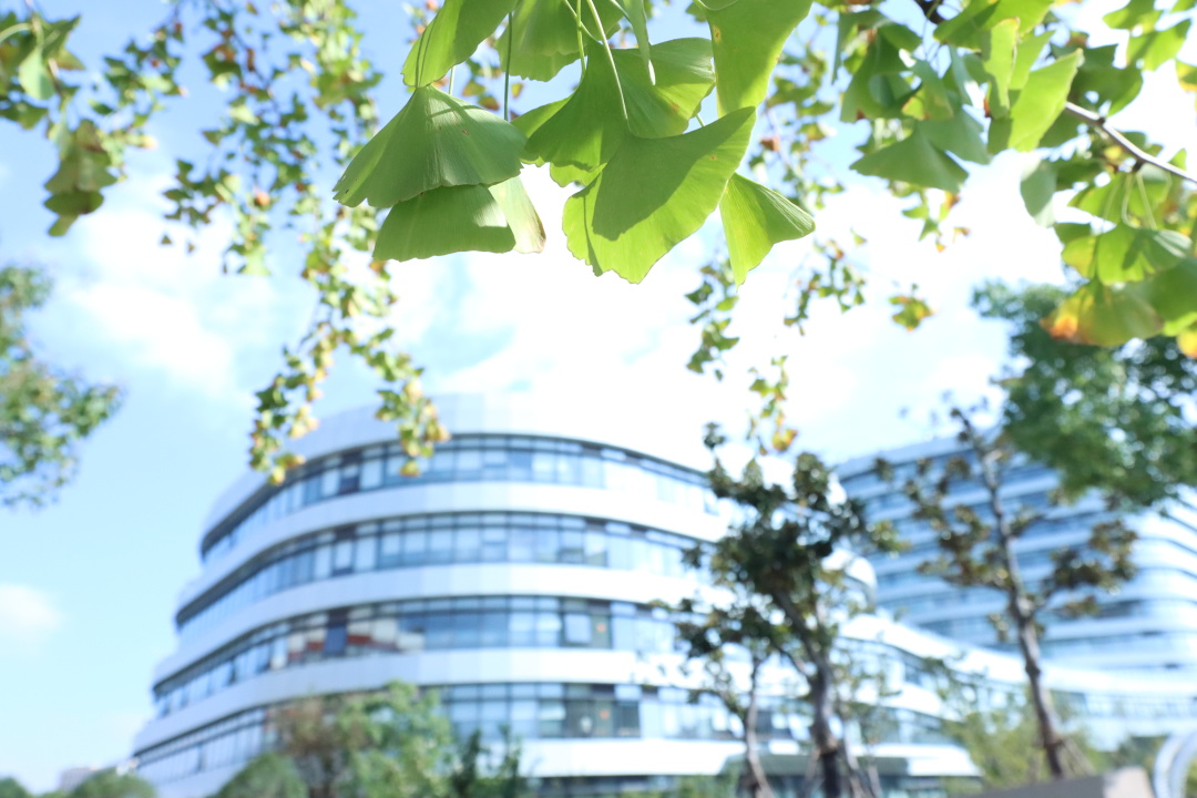 祝贺！beat365官网系统多个集体和个人获先进表彰！