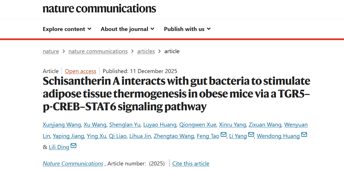 beat365官网丁丽丽研究员、杨莉研究员带领双方团队破解中药来源天然产物促进脂肪产热减重新机制