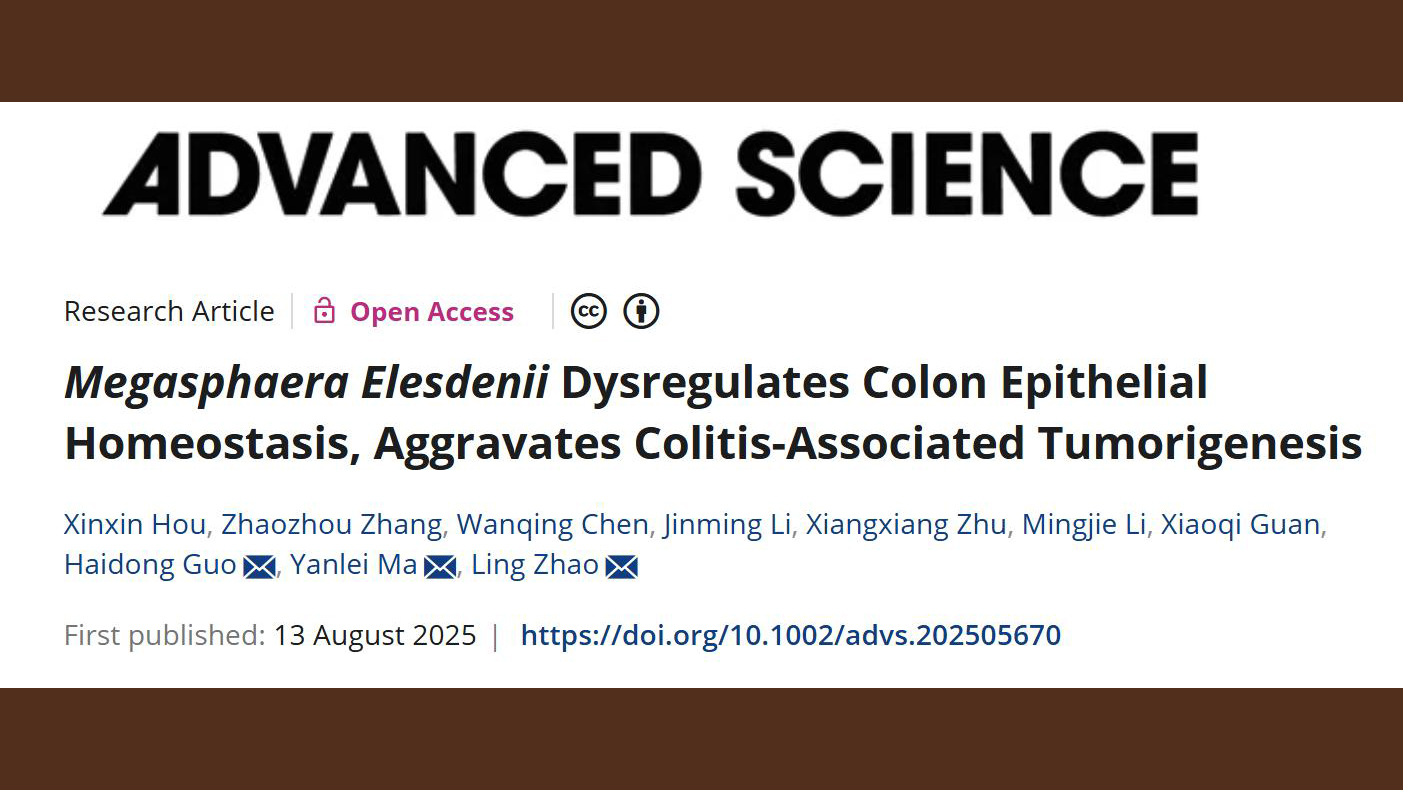 beat365官网中西医结合学院研究团队揭示肠道菌Megasphaera促进结直肠癌炎癌转化的机制
