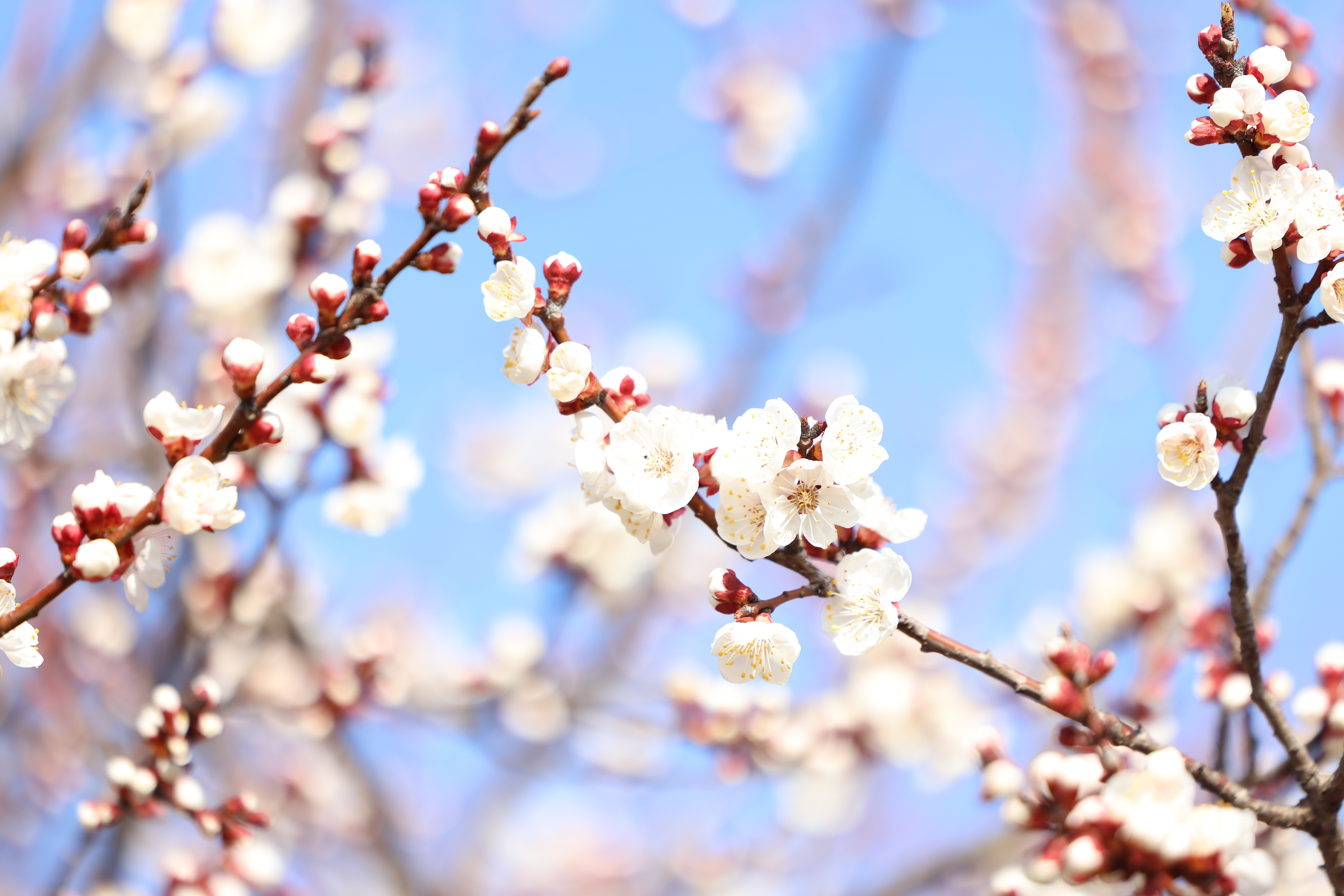 植树节 | 栽绿庆七秩 育人向未来